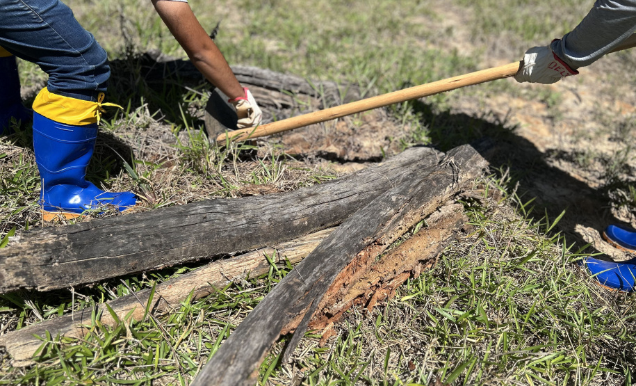 Crianças e adolescentes participam de ação de educação para enfrentamento ao escorpião