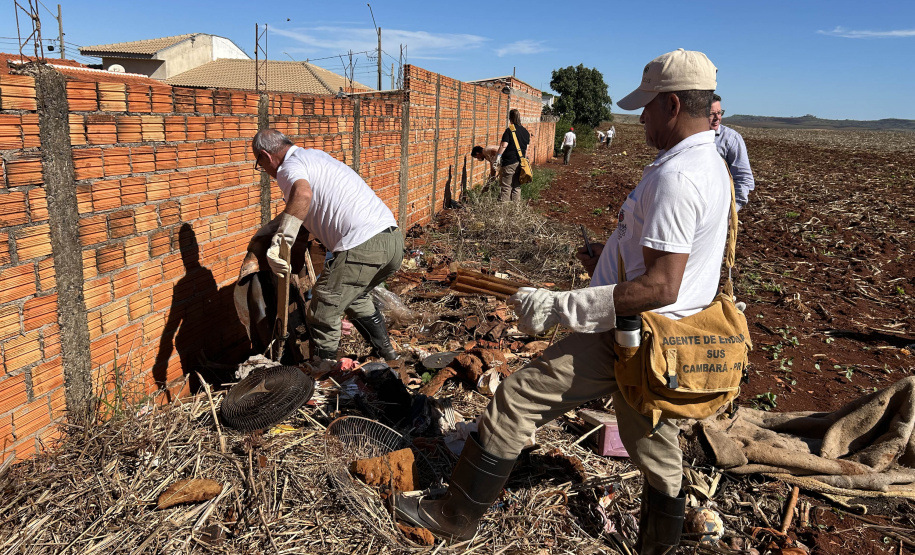 Estado e equipes municipais de saúde de Cambará se unem para disseminar informação e capturar escorpiões