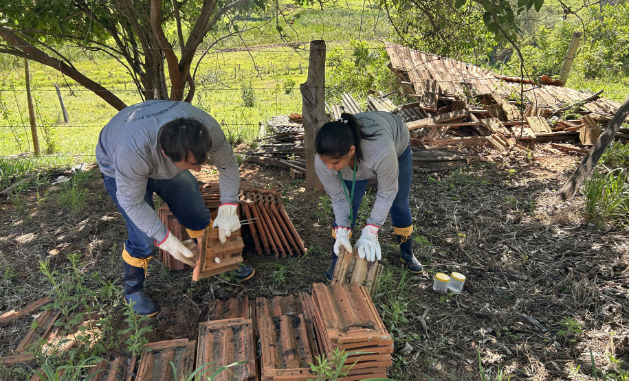 Crianças e adolescentes participam de ação de educação para enfrentamento ao escorpião