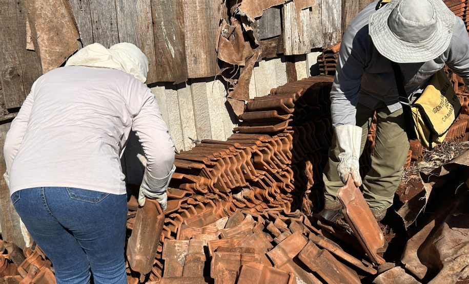 Estado e equipes municipais de saúde de Cambará se unem para disseminar informação e capturar escorpiões