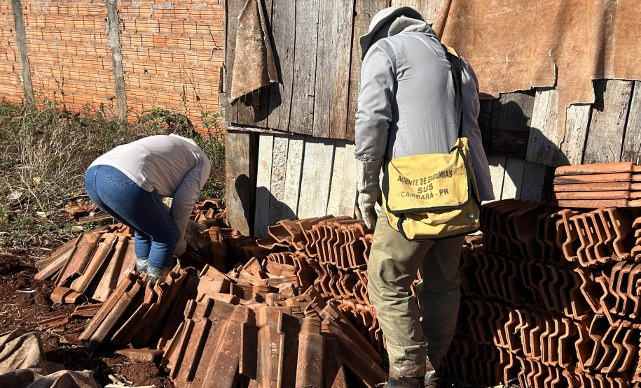 Estado e equipes municipais de saúde de Cambará se unem para disseminar informação e capturar escorpiões