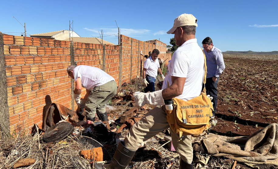 Estado e equipes municipais de saúde de Cambará se unem para disseminar informação e capturar escorpiões