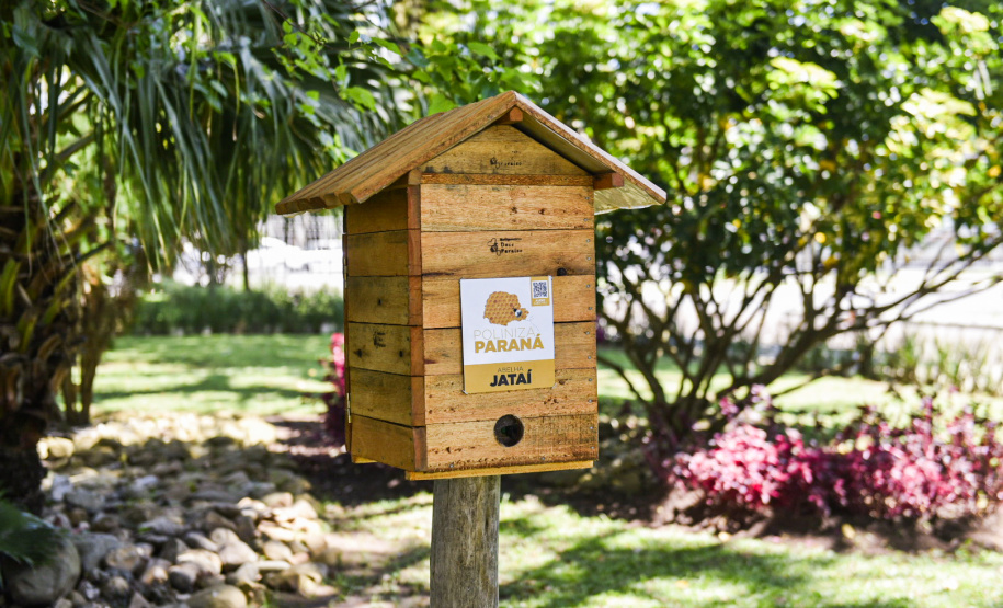 Palácio da Justiça ganha jardins de mel do Poliniza Paraná