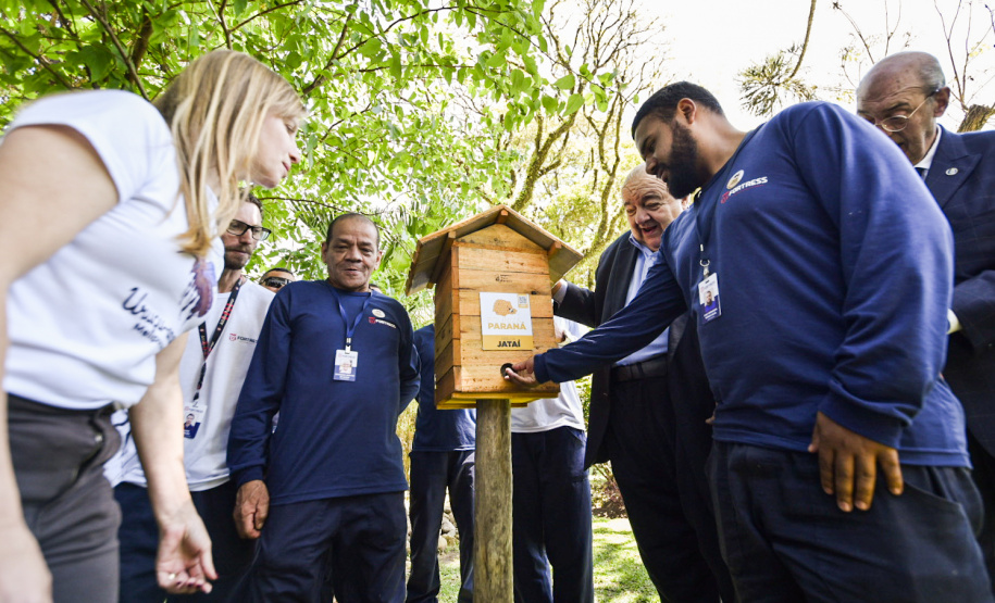 Palácio da Justiça ganha jardins de mel do Poliniza Paraná