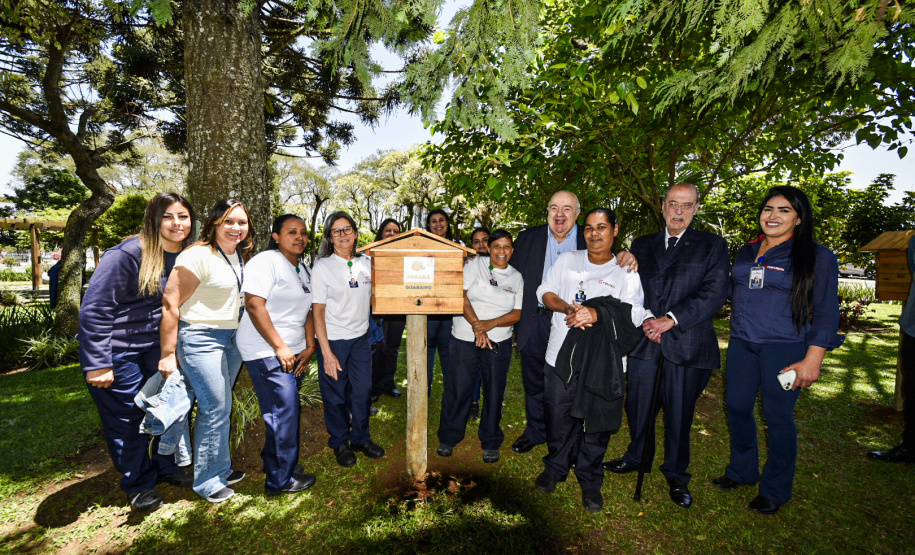 Palácio da Justiça ganha jardins de mel do Poliniza Paraná