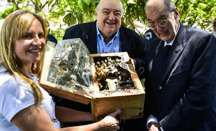 Palácio da Justiça ganha jardins de mel do Poliniza Paraná