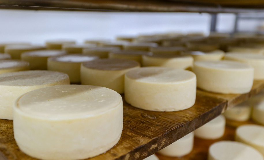 Isenção de ICMS para queijo, requeijão e doce de leite vai fortalecer produção artesanal no Paraná