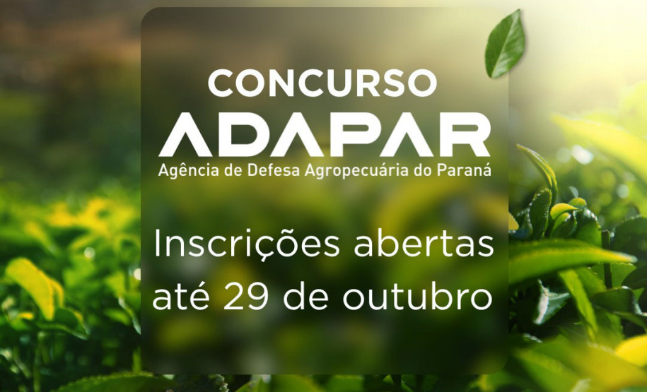 Inscrições para novo concurso público da Adapar terminam no dia 29 de outubro