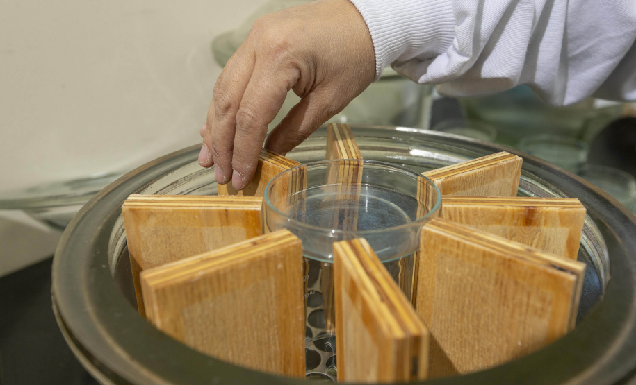 Tecpar e UFPR montam laboratório compartilhado para novos estudos na área florestal e madeireira