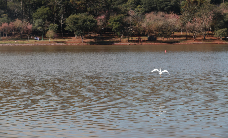 Instituto Água e Terra (IAT) emitiu a licença ambiental que autoriza o início da primeira fase da revitalização do Território Verde, em Cascavel, no Oeste do Paraná