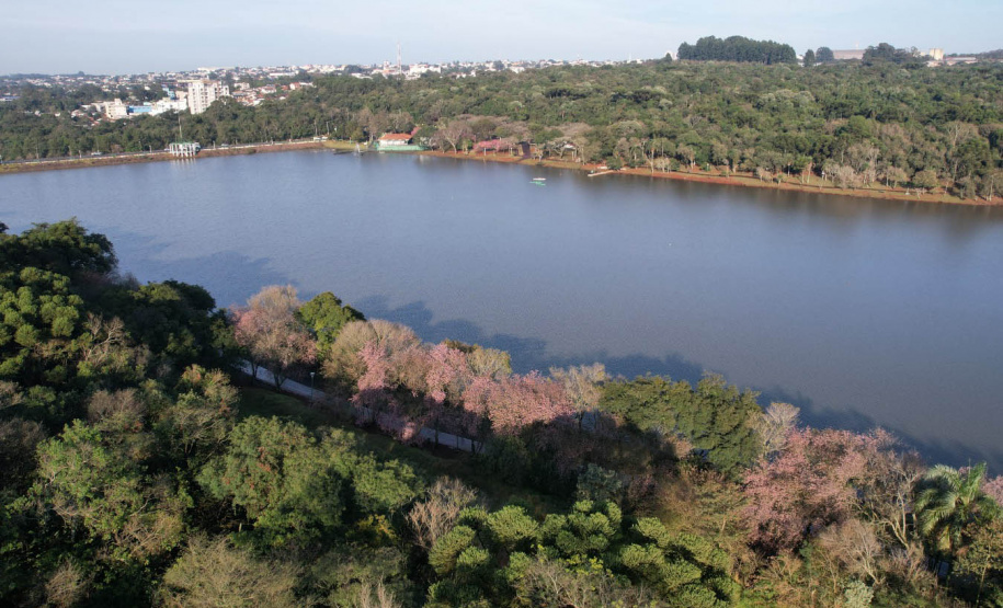 Instituto Água e Terra (IAT) emitiu a licença ambiental que autoriza o início da primeira fase da revitalização do Território Verde, em Cascavel, no Oeste do Paraná
