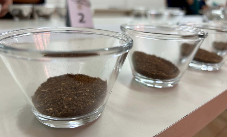 IDR-Paraná abre inscrições para curso de classificação e degustação de café