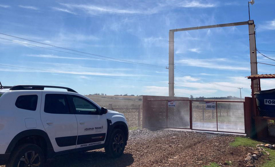 Adapar realiza ações de biosseguridade em granjas  avícolas em todo o Paraná