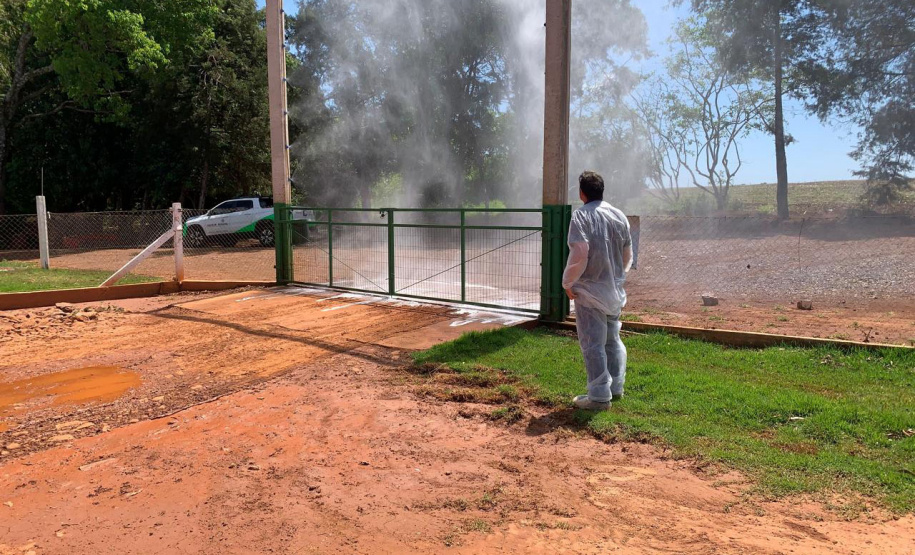 Adapar realiza ações de biosseguridade em granjas  avícolas em todo o Paraná