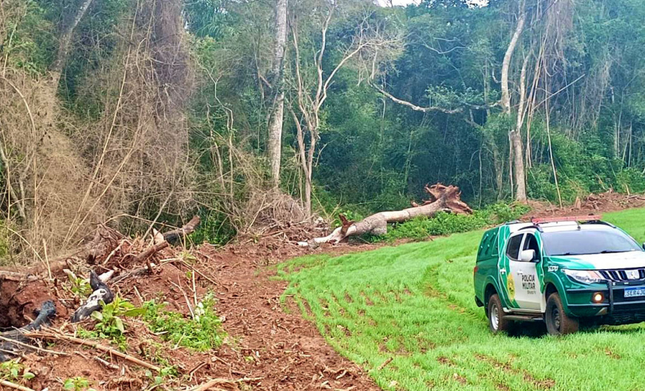Operação Mata Atlântica em Pé: PMPR aplica mais de R$ 19 milhões em multas