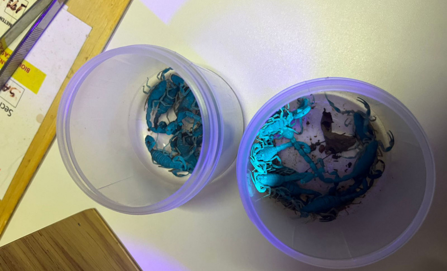 19ª Regional de Saúde de Jacarezinho / Sesa-PR