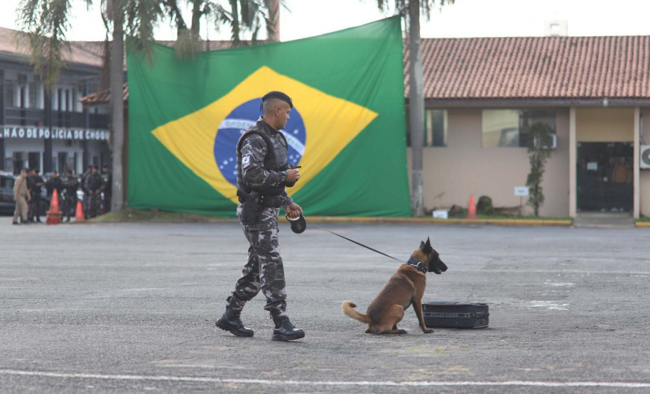 Inscrições para a 1ª Cãocorrida da Companhia com Cães da PMPR encerram nesta segunda (20)