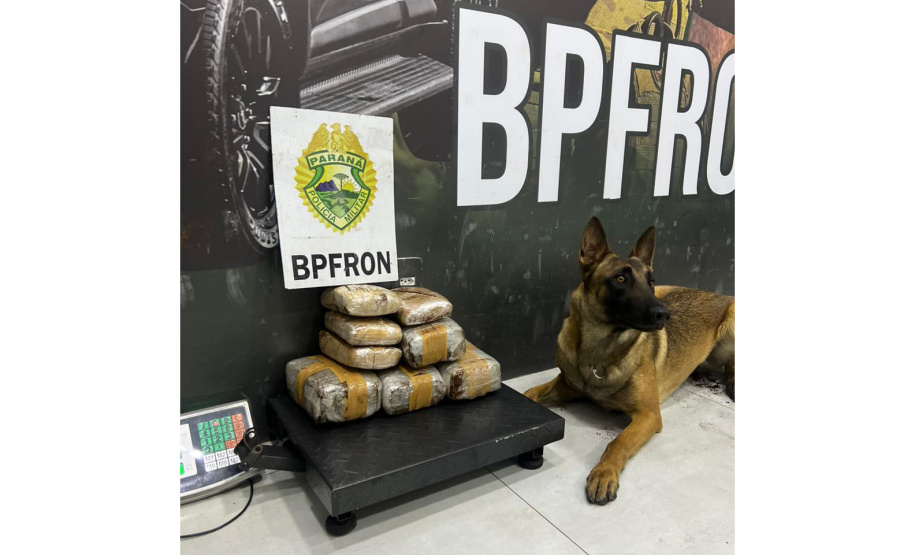 Operação Scutum Limes: PMPR reforça fronteira e gera prejuízo milionário ao crime