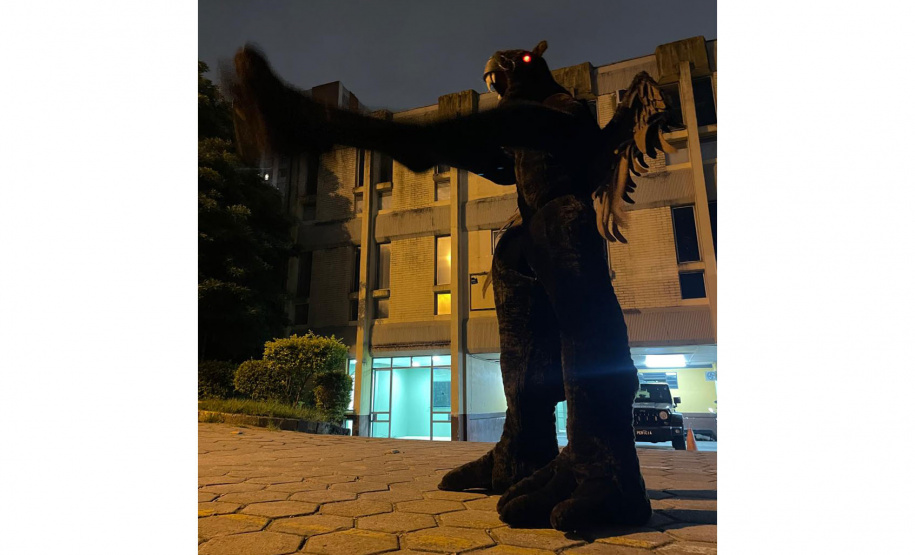 Museu de Ciências Forenses recebe sessões do Festival DJANHO! 2025 em Curitiba