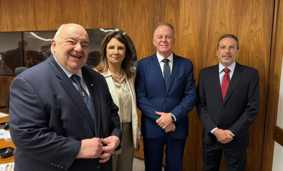 Paraná representa Bioma Mata Atlântica em reunião preparatória da COP30 em Brasília