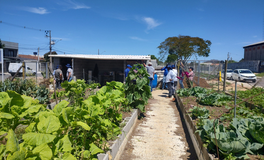 Sanepar realiza oficinas socioambientais na terceira maior horta comunitária do Brasil