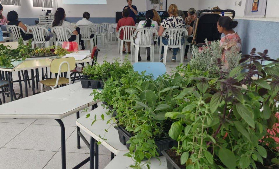 Em Castro, Sanepar ensina cultivo e uso de plantas medicinais e alimentícias não-convencionais
