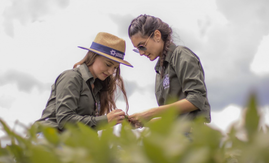 Paraná incentiva o fomento à pesquisa com bolsas que cobrem toda a trajetória acadêmica e profissional