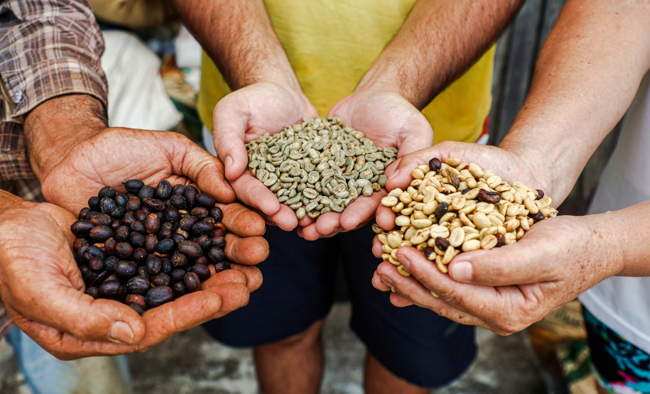 Prêmio Café Qualidade Paraná reconhece melhores produtores do Estado