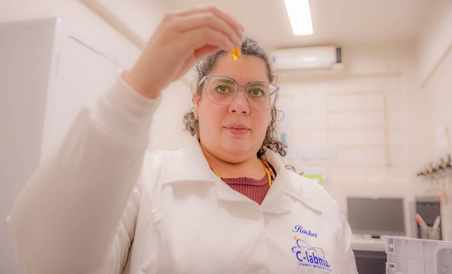 Paraná incentiva o fomento à pesquisa com bolsas que cobrem toda a trajetória acadêmica e profissional