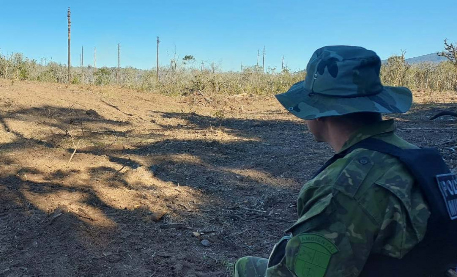 PCPR prende homem por desmatar 106 hectares de floresta em Rio Azul