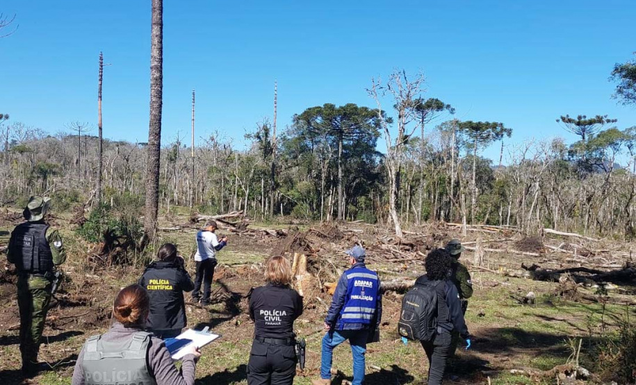 PCPR prende homem por desmatar 106 hectares de floresta em Rio Azul