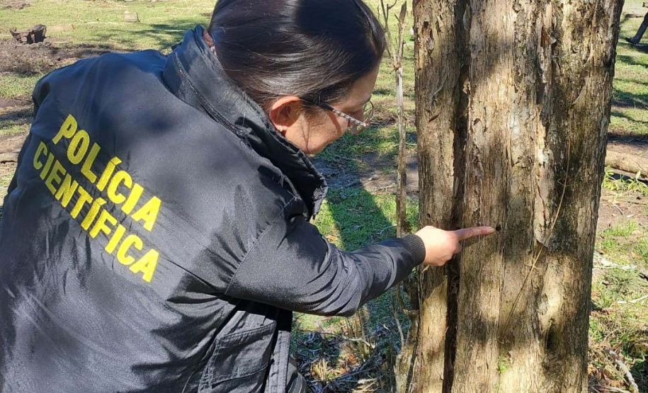 PCPR prende homem por desmatar 106 hectares de floresta em Rio Azul