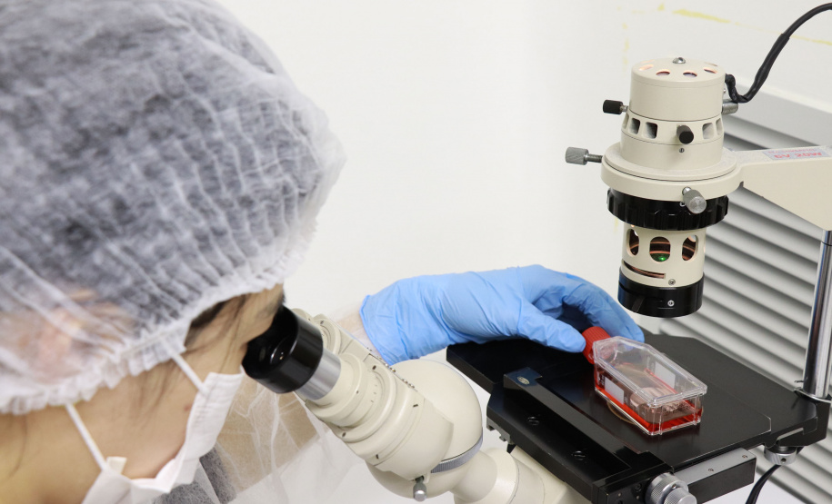 -Últimos dias: Revista do Tecpar recebe artigos para edição de 80 anos até dia 30