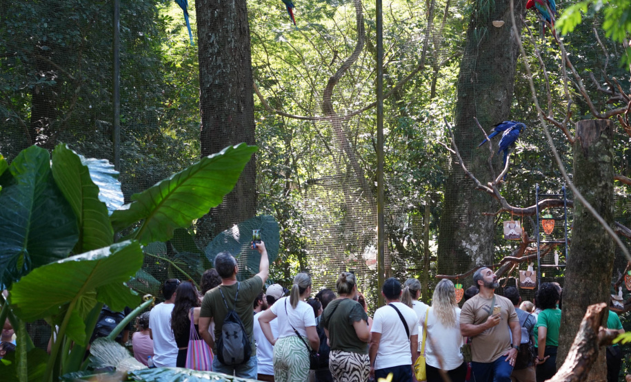 Setor turístico paranaense comemora “boom” de visitantes durante feriados de 2025
