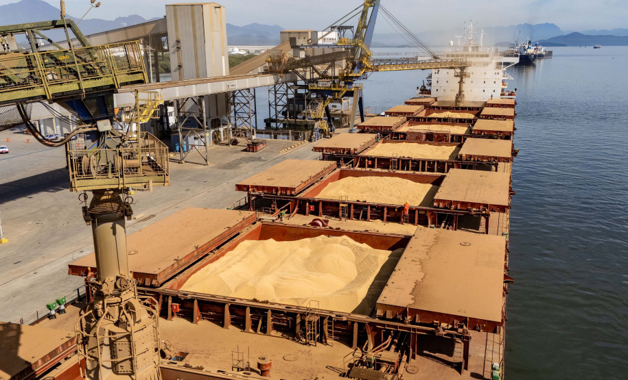 Soja responde por 21% da movimentação anual e lidera exportações nos portos do Paraná