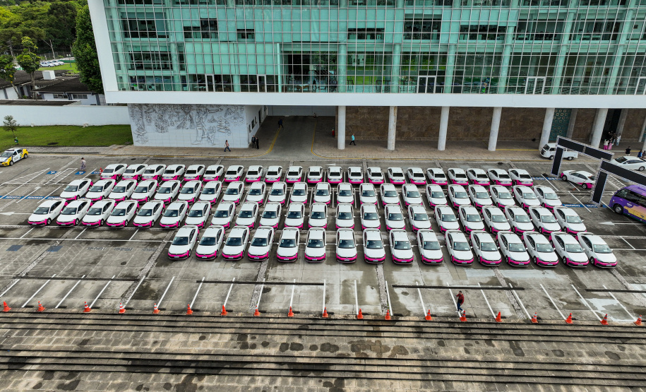 II Encontro Estadual de Gestores de Políticas do Cuidado, no Palácio Iguaçu.