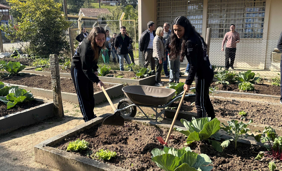 Hortas nutrem novos saberes e escolhas saudáveis nas escolas da rede pública do Paraná