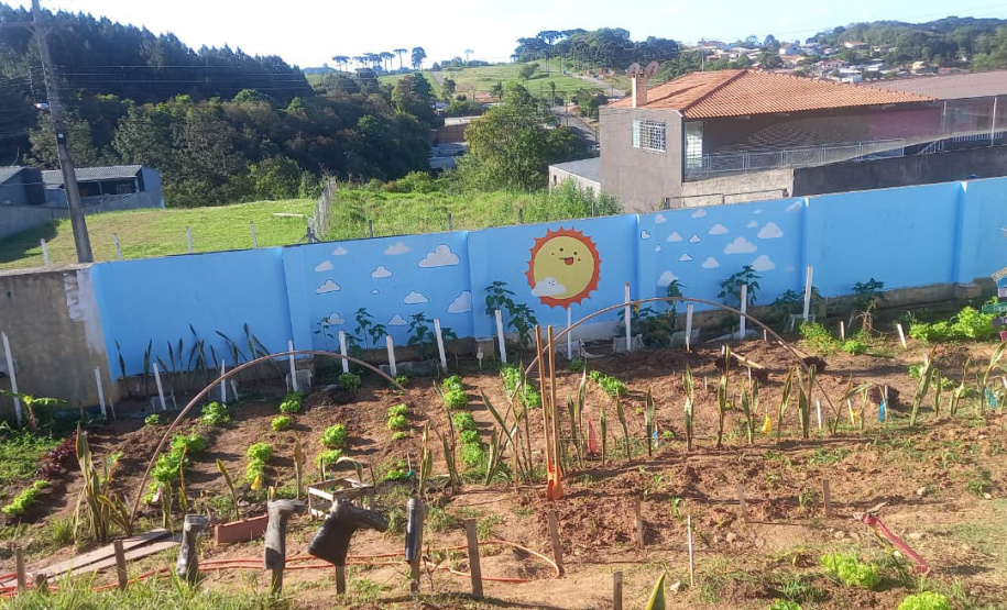 Hortas nutrem novos saberes e escolhas saudáveis nas escolas da rede pública do Paraná