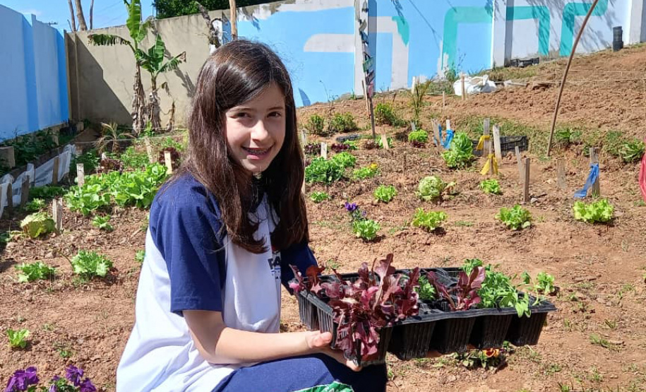 Hortas nutrem novos saberes e escolhas saudáveis nas escolas da rede pública do Paraná