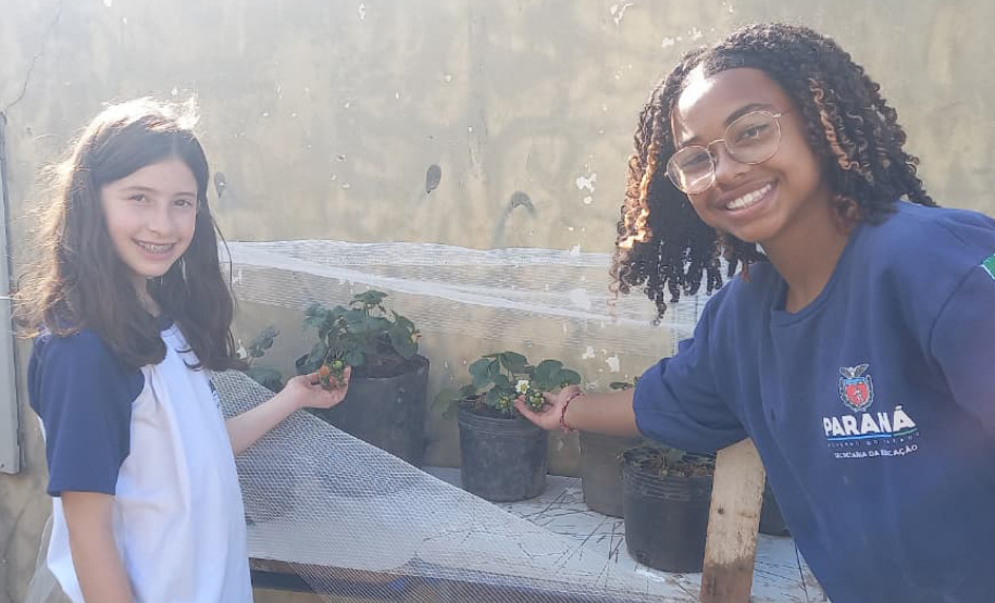 Hortas nutrem novos saberes e escolhas saudáveis nas escolas da rede pública do Paraná