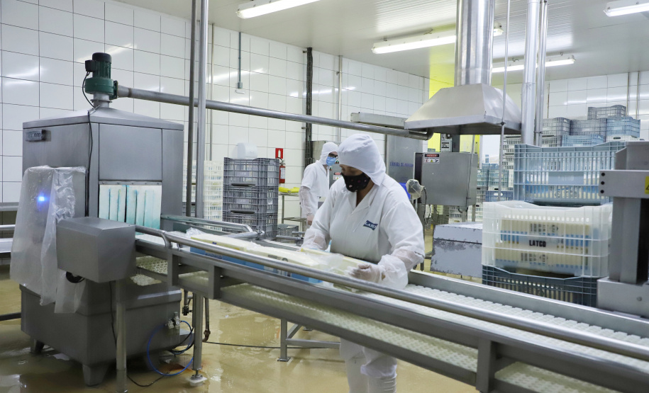 Taxa de desocupação no Paraná cai para 3,5%, menor para um terceiro trimestre na história