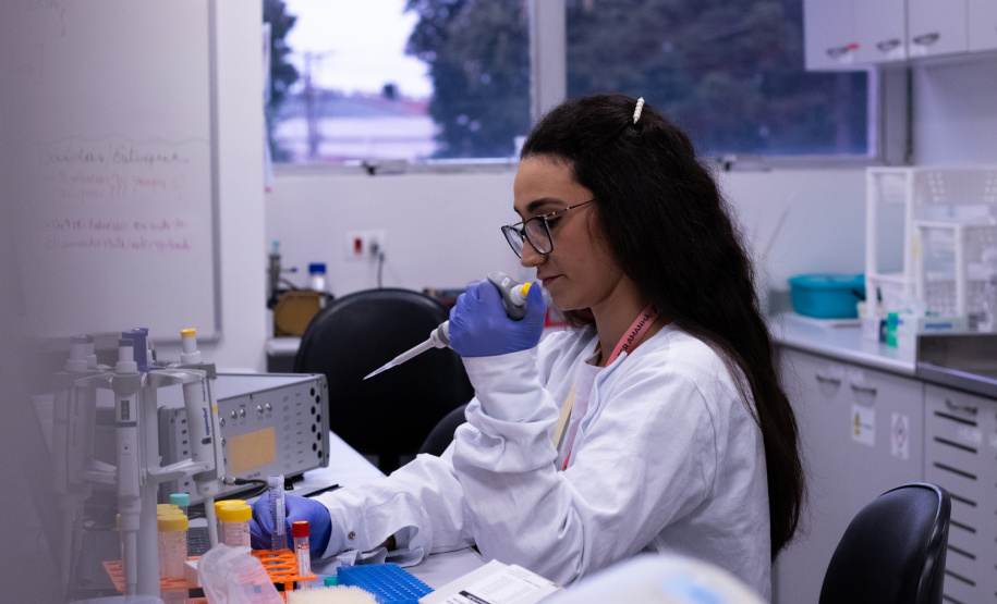 SEIA - Número de startups no Paraná explode nos últimos sete anos e cresce 656%