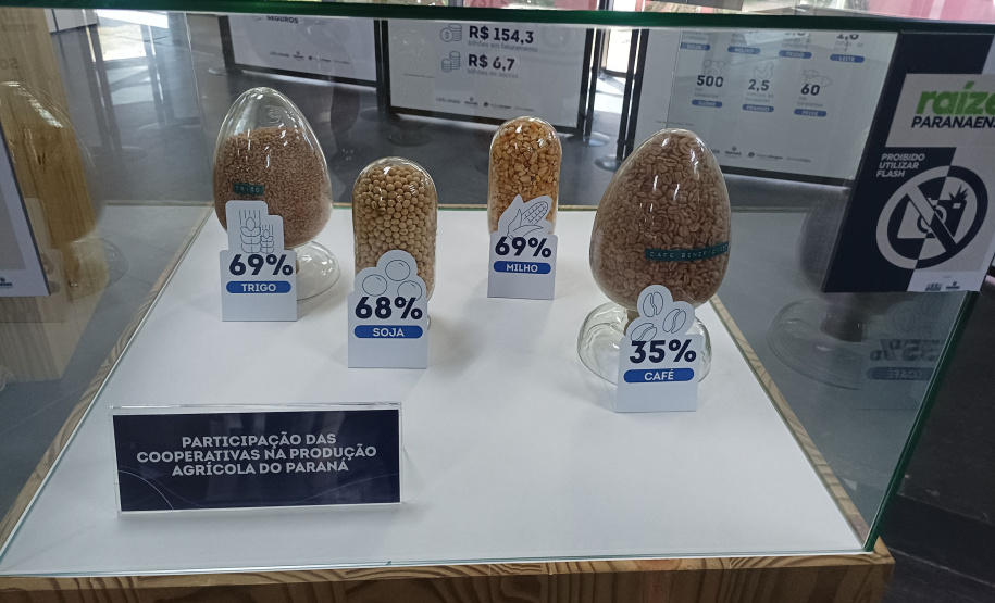 DARCI PIANA - ARQUIVO PÚBLICO