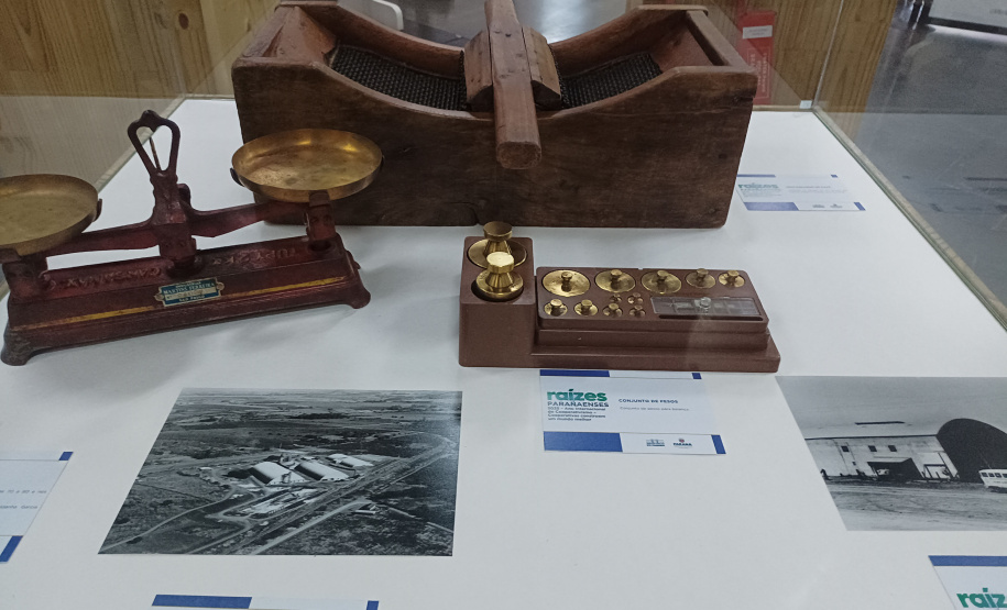 DARCI PIANA - ARQUIVO PÚBLICO