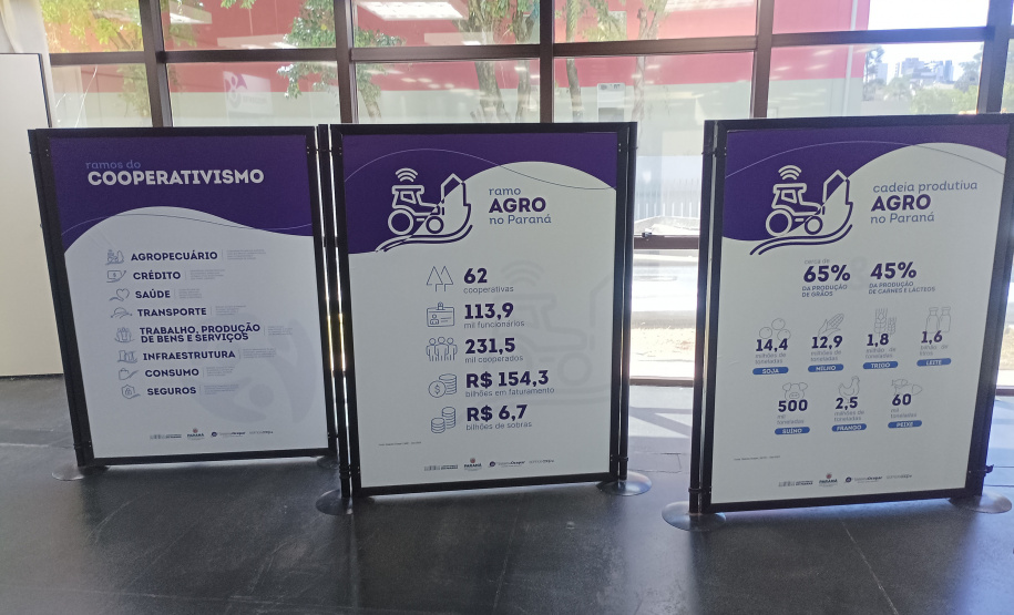 DARCI PIANA - ARQUIVO PÚBLICO