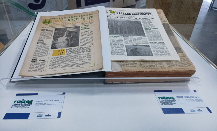 DARCI PIANA - ARQUIVO PÚBLICO