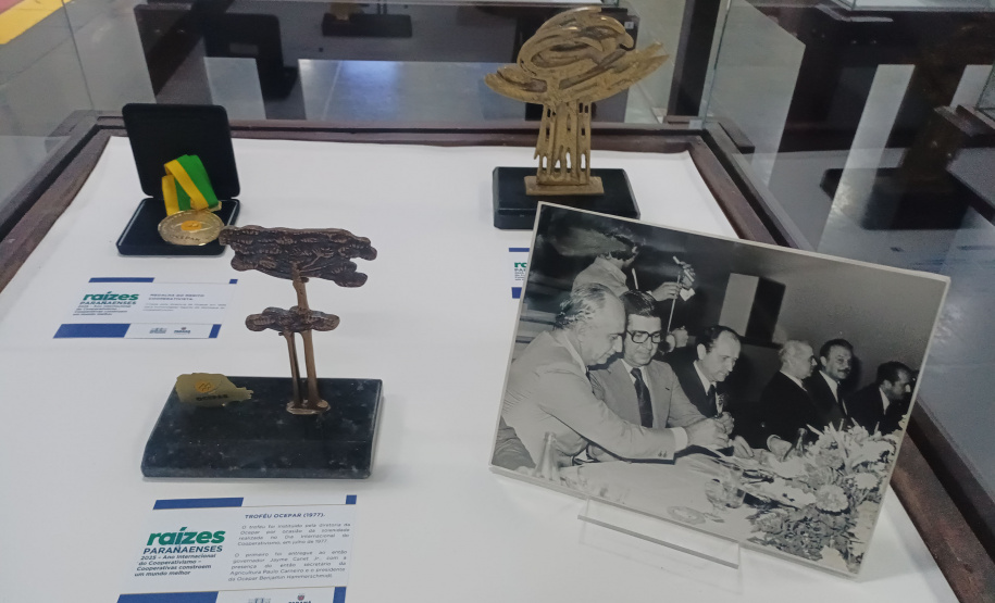 DARCI PIANA - ARQUIVO PÚBLICO