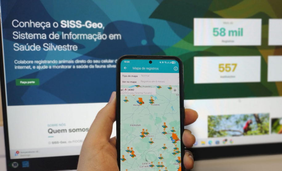 Inteligência Georreferenciada: Com sistema pioneiro, Paraná se mantém livre de casos locais de febre amarela desde 2019