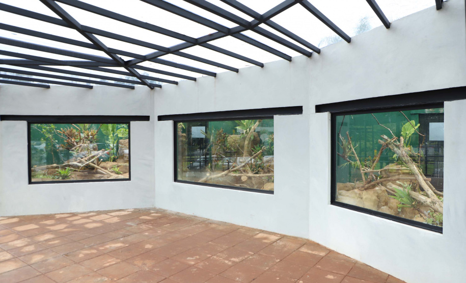 Novo atrativo: Foz do Iguaçu ganha um dos maiores aquários da América Latina