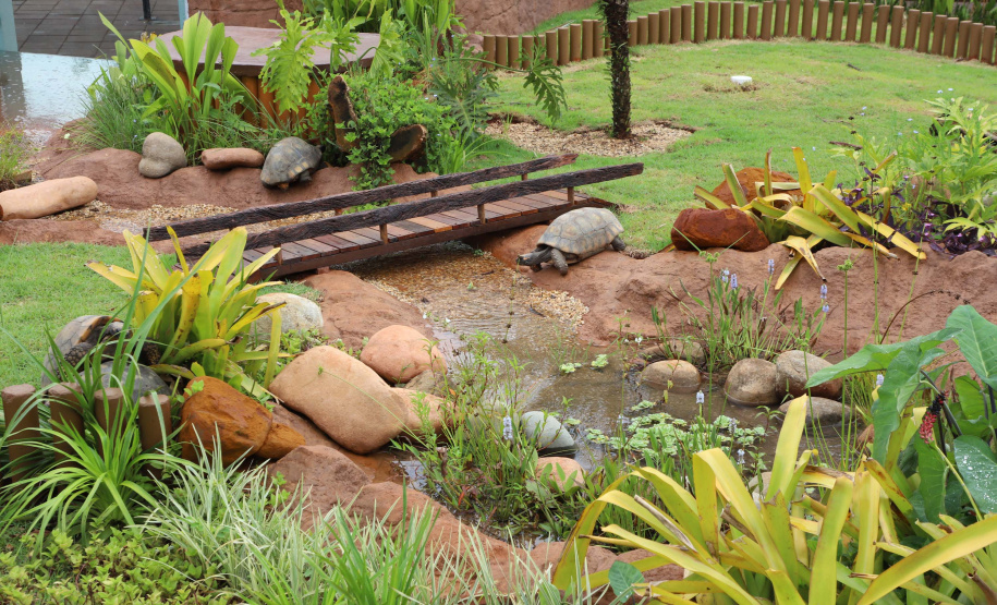 Novo atrativo: Foz do Iguaçu ganha um dos maiores aquários da América Latina